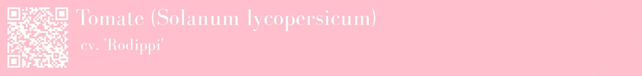 étiquette 2