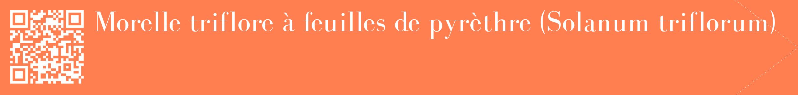 étiquette 2