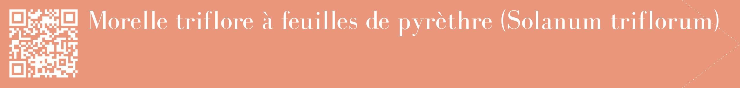 étiquette 2