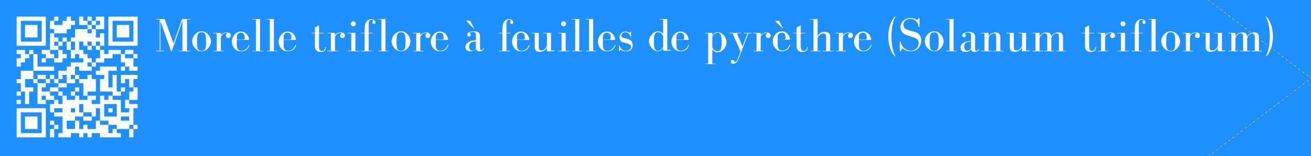 étiquette 2