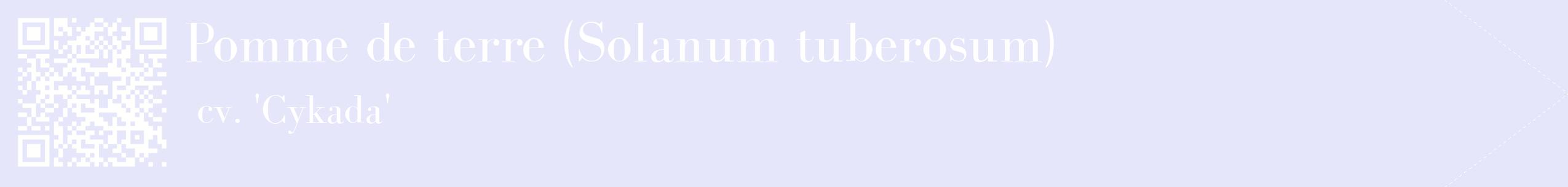 étiquette 2
