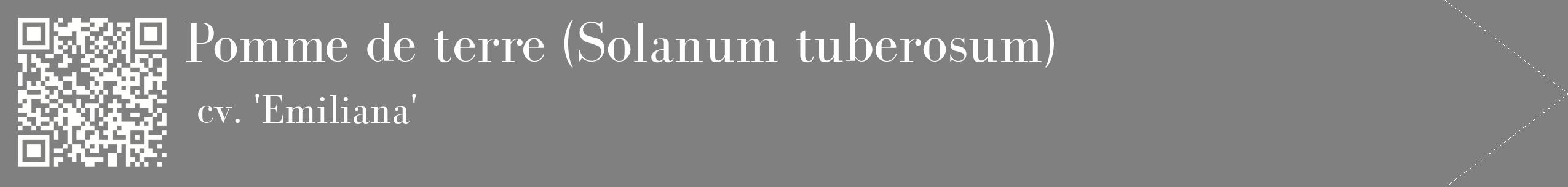 étiquette 2