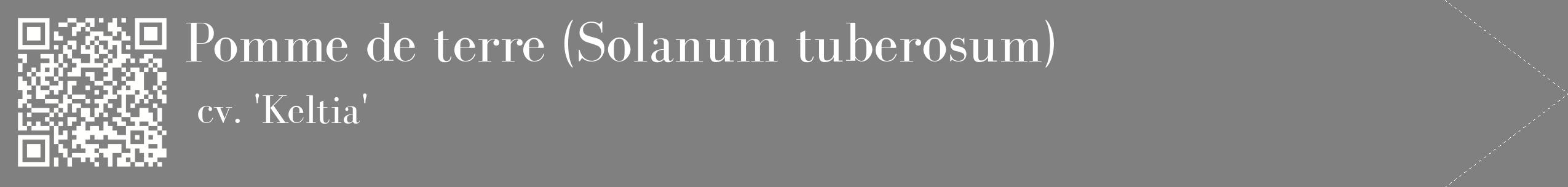 étiquette 2