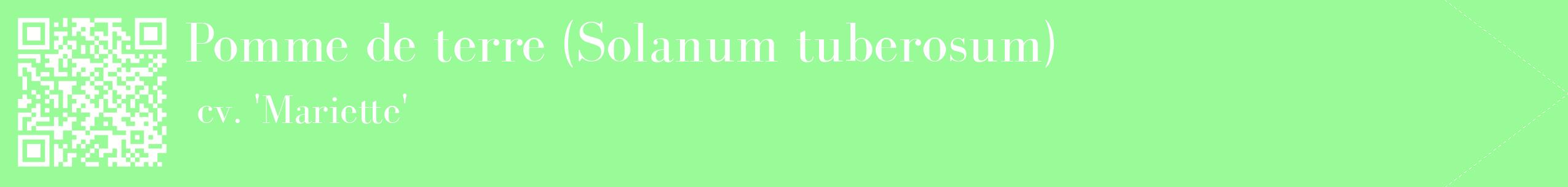 étiquette 2