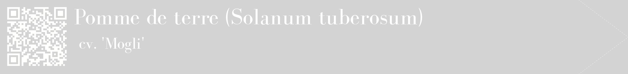 étiquette 2