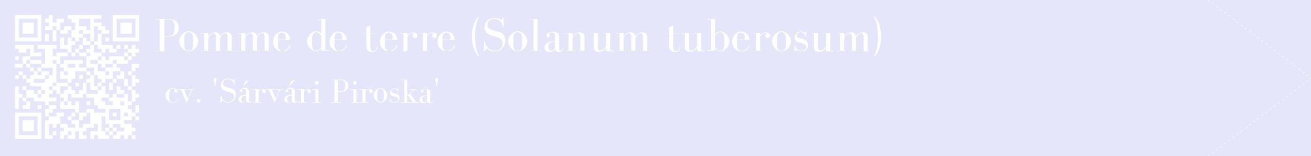 étiquette 2