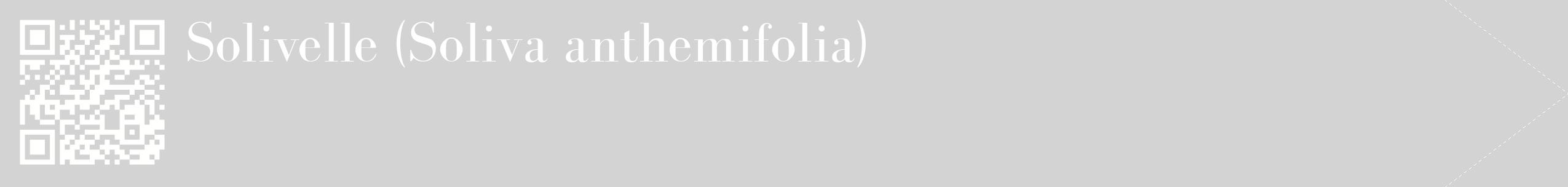 étiquette 2