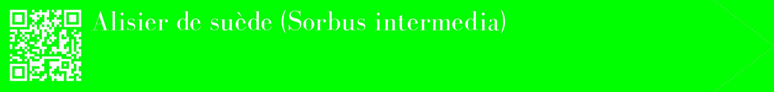 étiquette 2