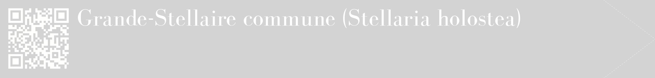 étiquette 2