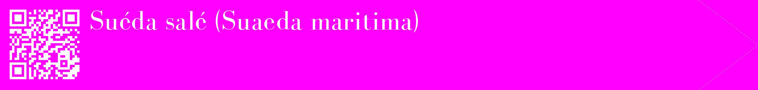 étiquette 2