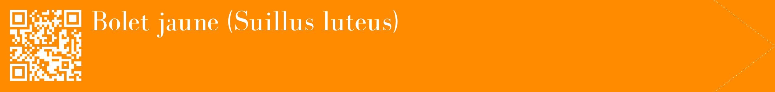 étiquette 2