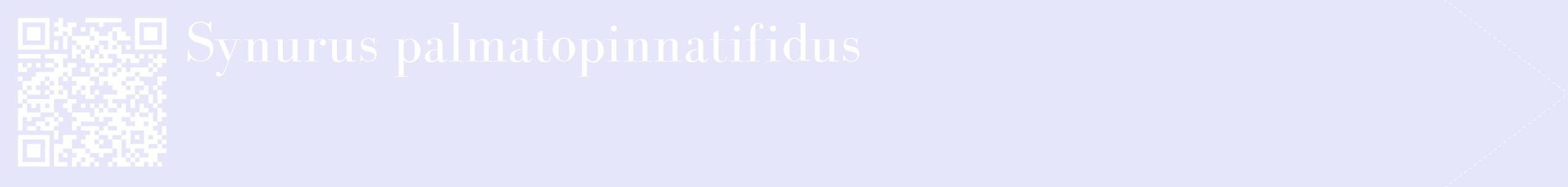 étiquette 2