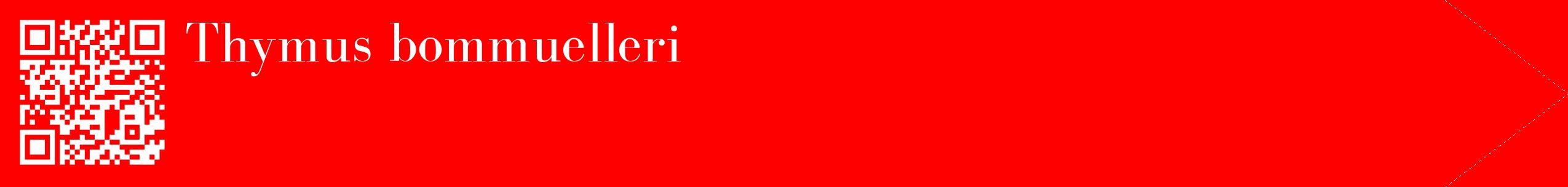 étiquette 2
