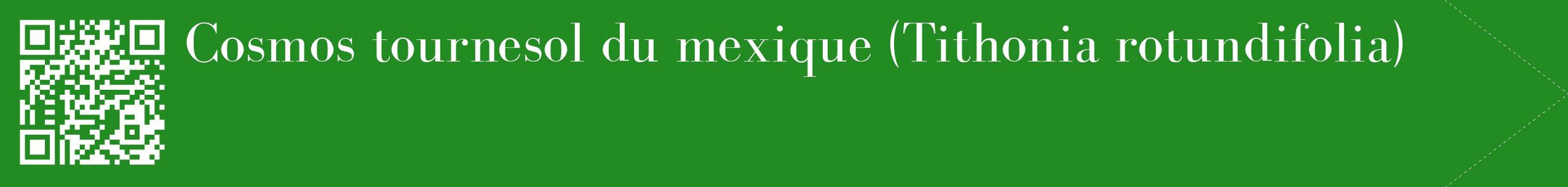 étiquette 2