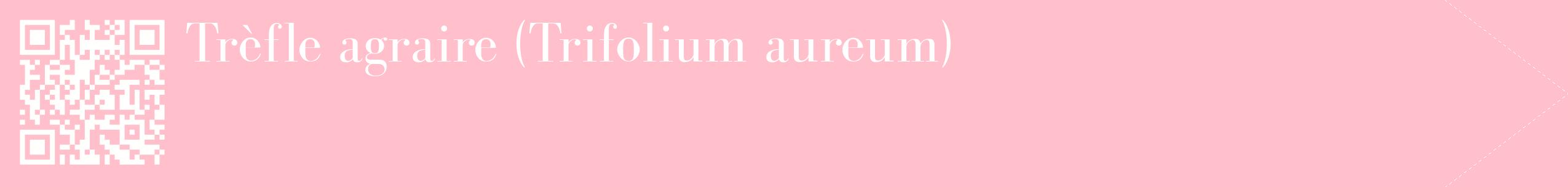 étiquette 2