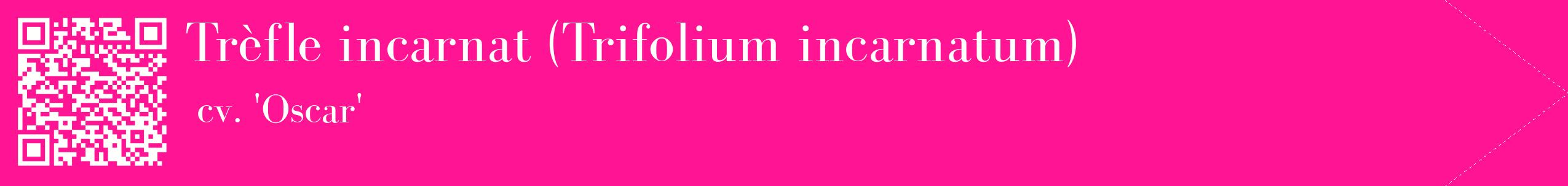 étiquette 2