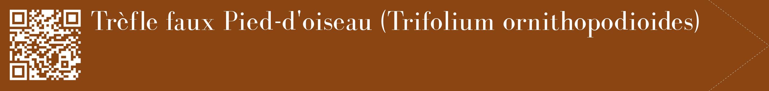 étiquette 2