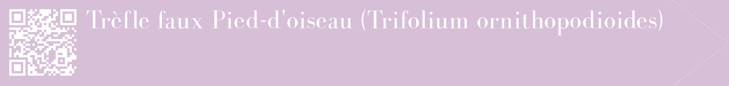 étiquette 2