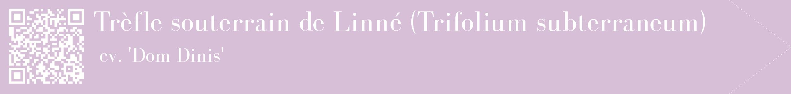 étiquette 2