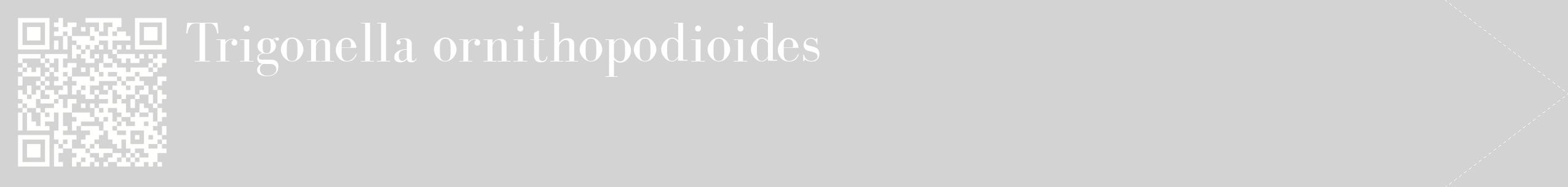 étiquette 2