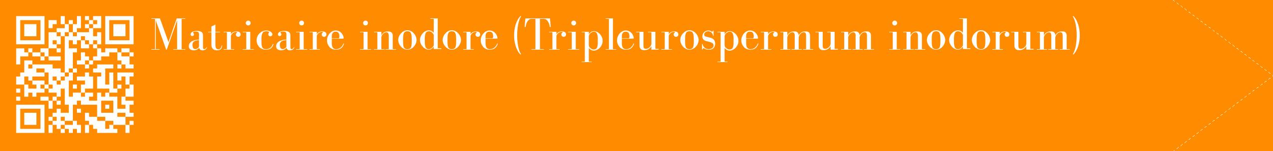 étiquette 2