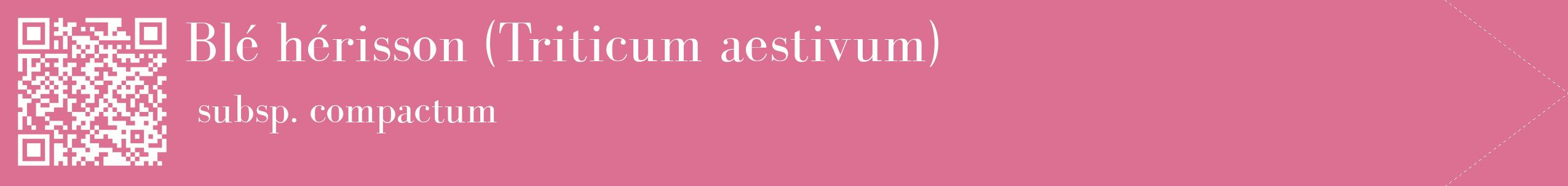 étiquette 2