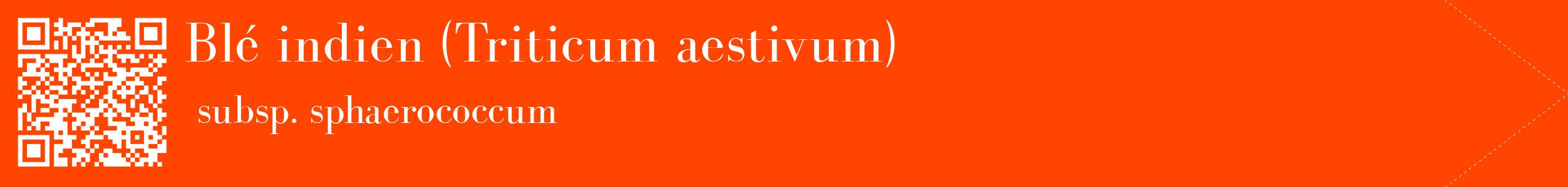 étiquette 2