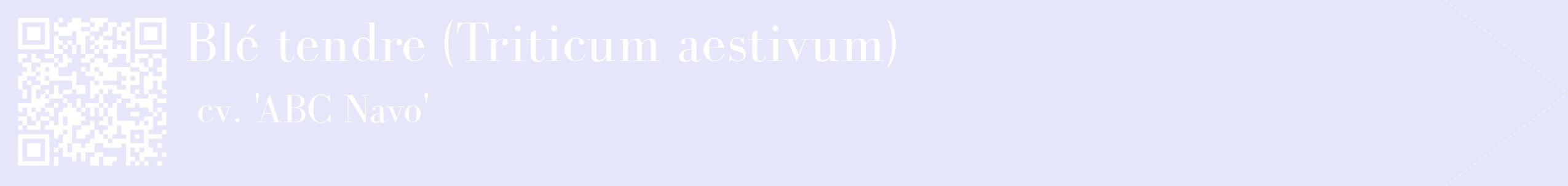 étiquette 2