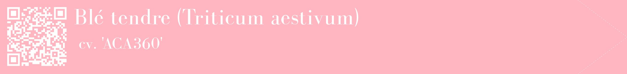 étiquette 2