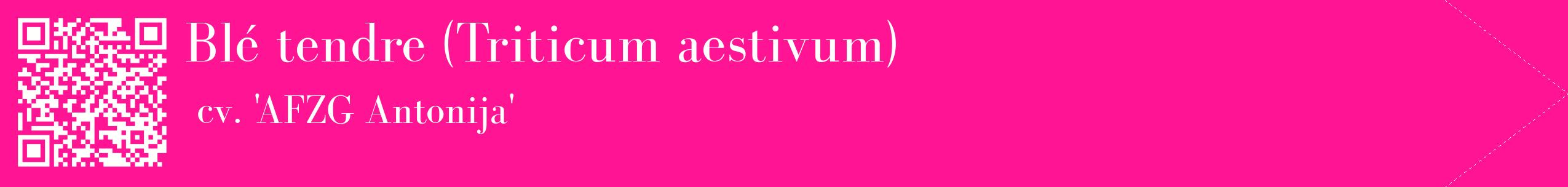 étiquette 2