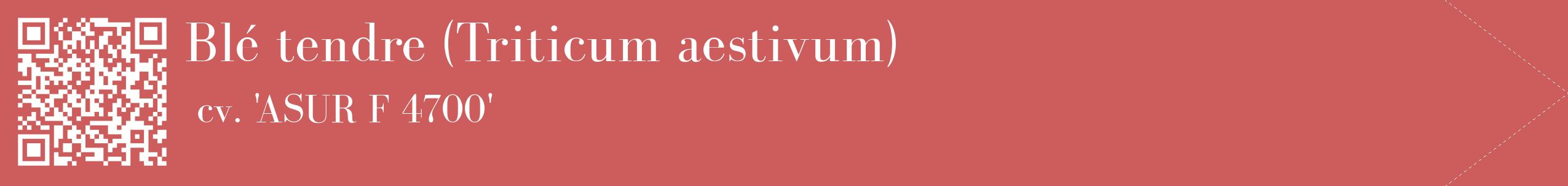 étiquette 2