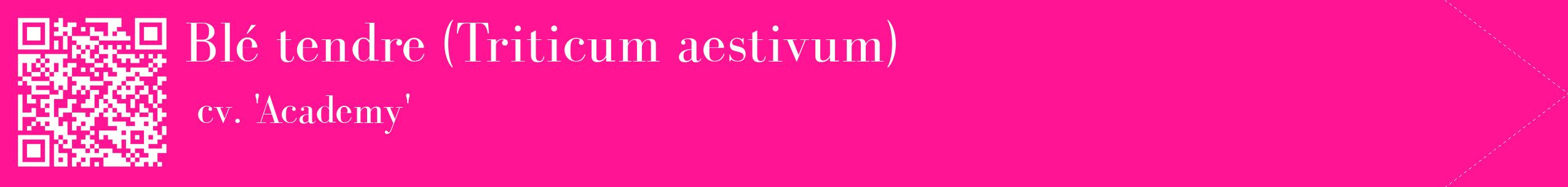 étiquette 2