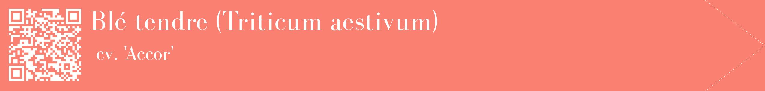 étiquette 2
