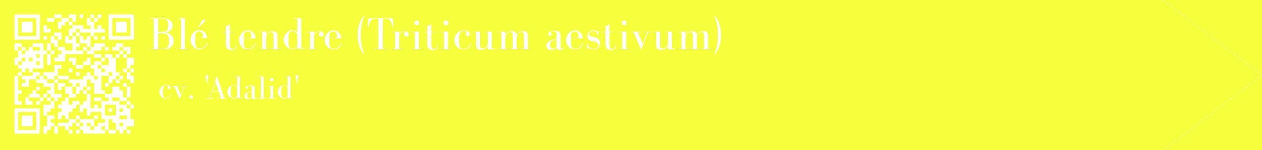étiquette 2