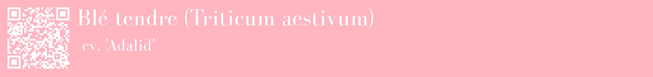 étiquette 2