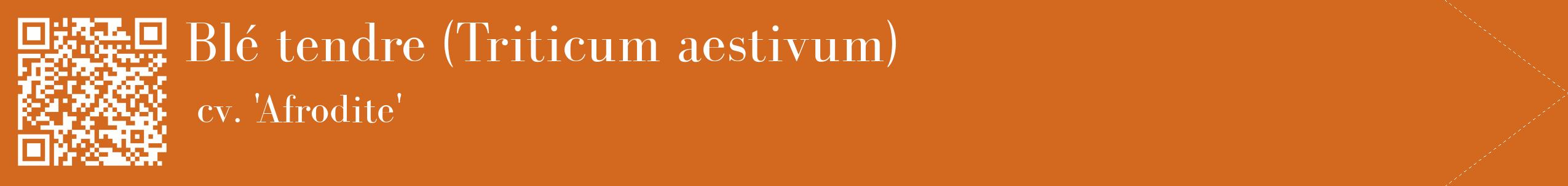 étiquette 2