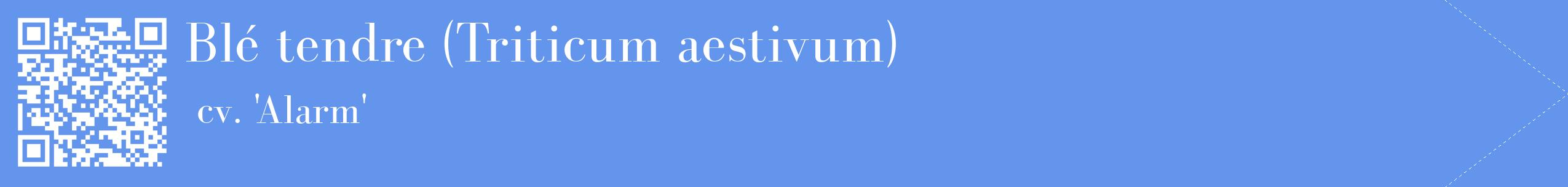 étiquette 2