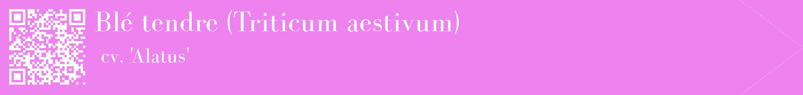 étiquette 2