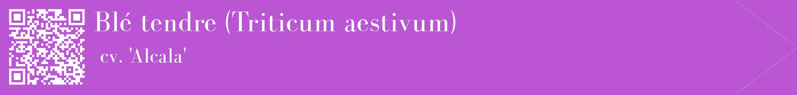 étiquette 2