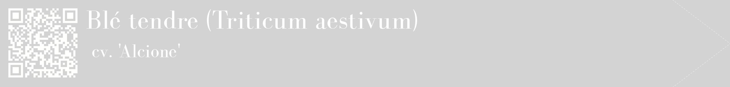 étiquette 2