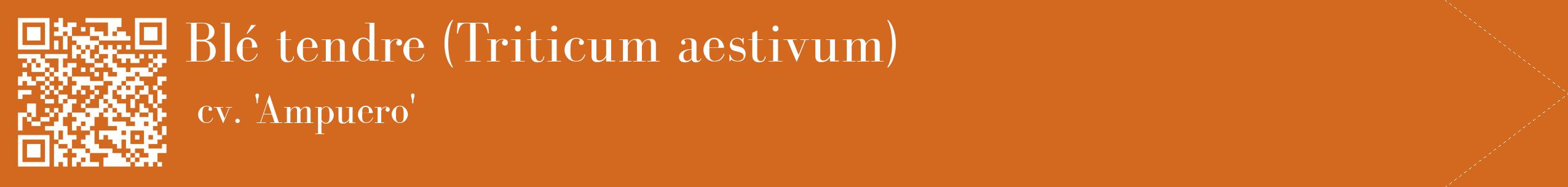 étiquette 2