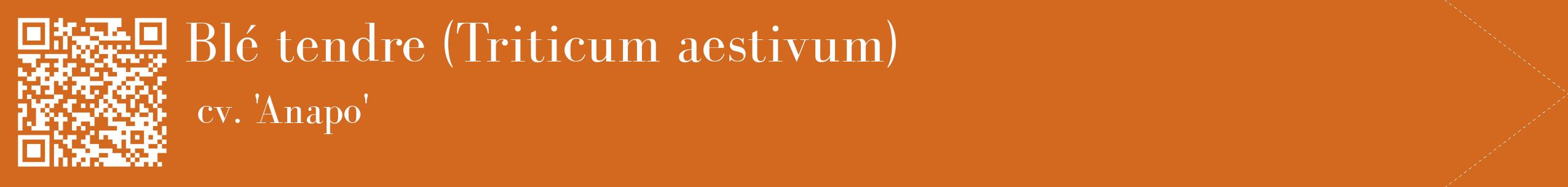 étiquette 2