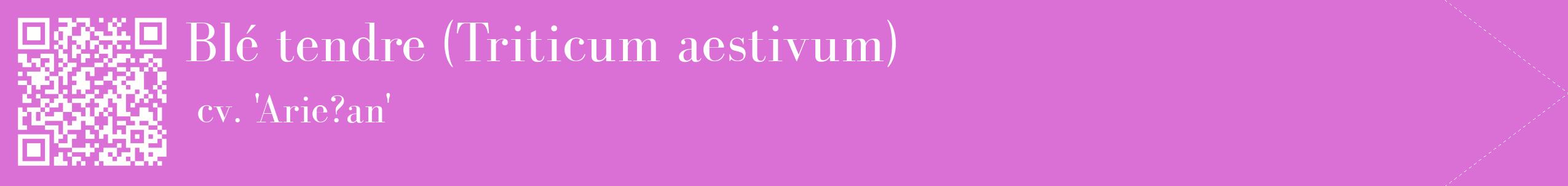 étiquette 2