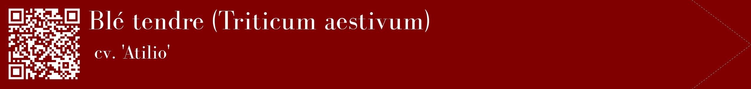 étiquette 2