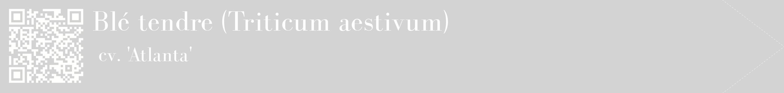 étiquette 2