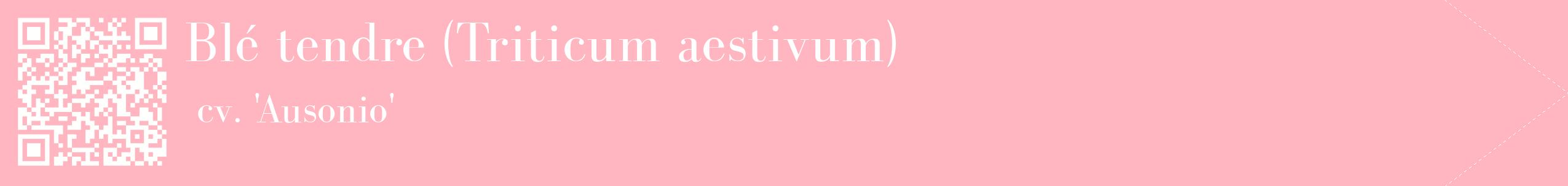 étiquette 2