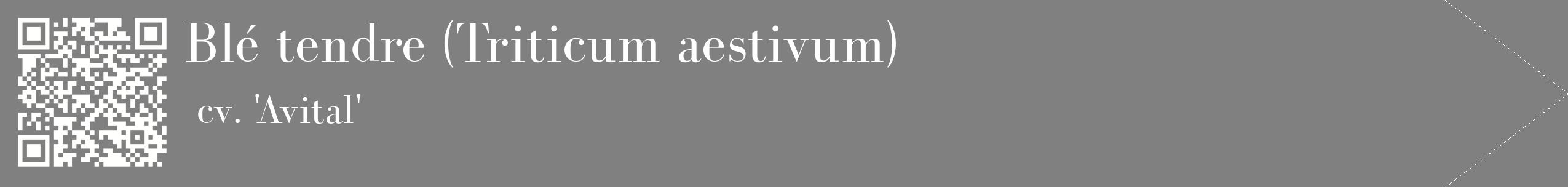 étiquette 2