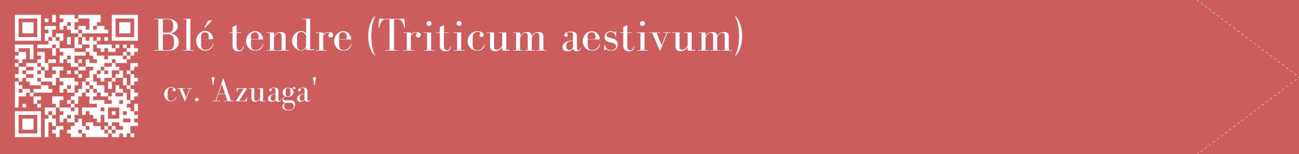étiquette 2