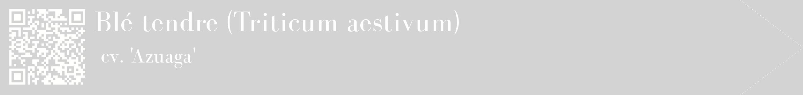 étiquette 2