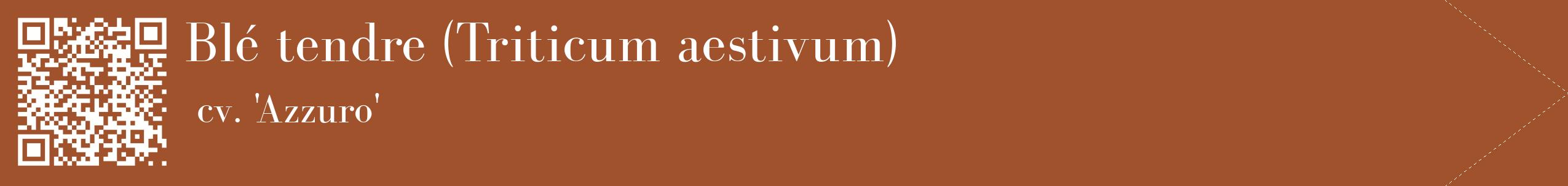 étiquette 2